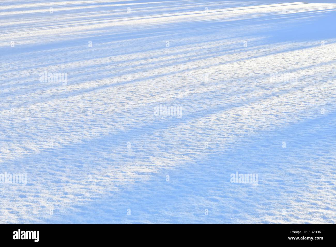Frischer glitzernder Schnee aus der Nähe, diagonale Schatten auf dem Schnee auf einer Ebenen Oberfläche, perfekt als Hintergrund oder Textur der Wintersaison Stockfoto