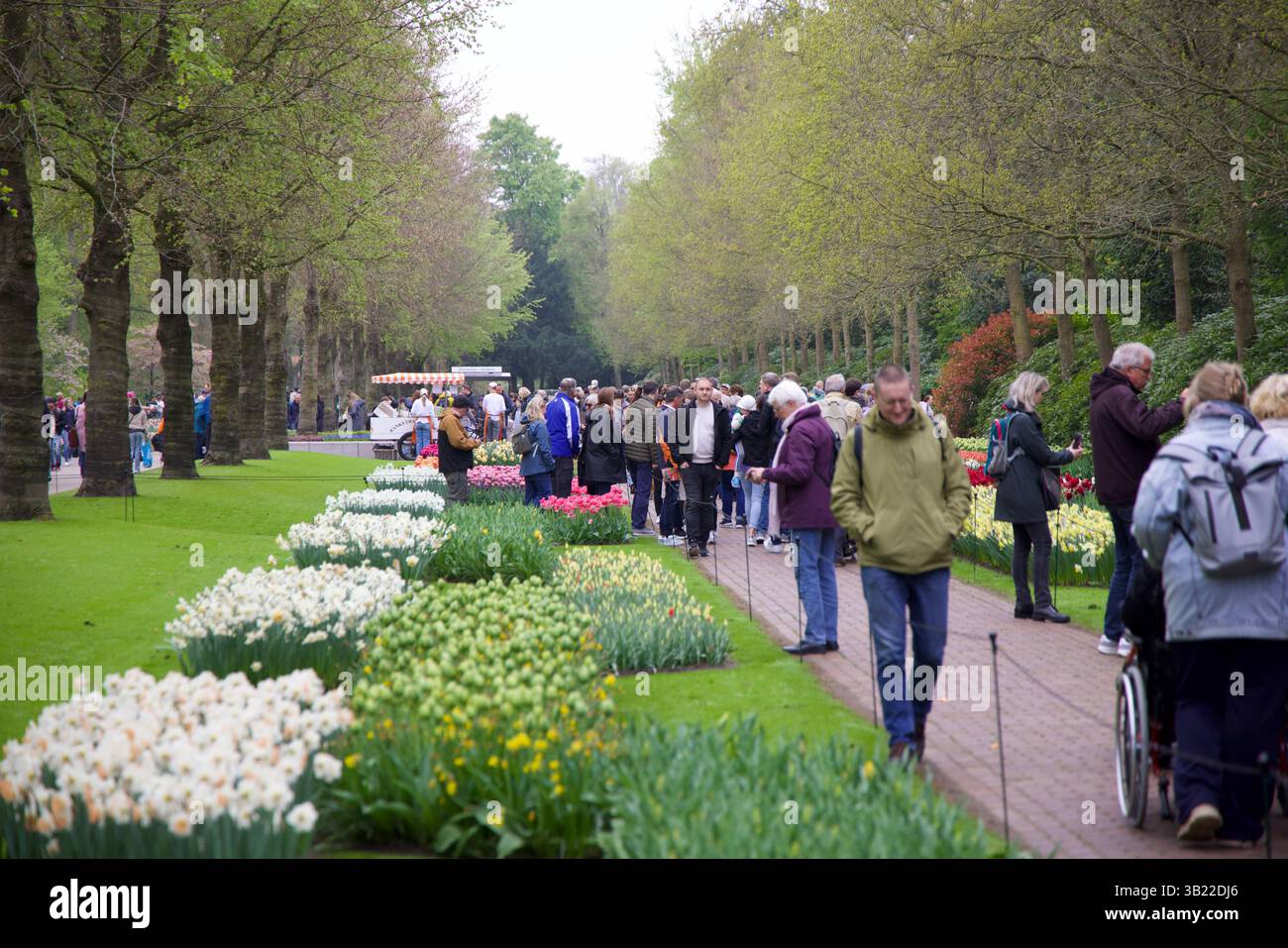 Wunderbares Amsterdam, Niederlande Stockfoto