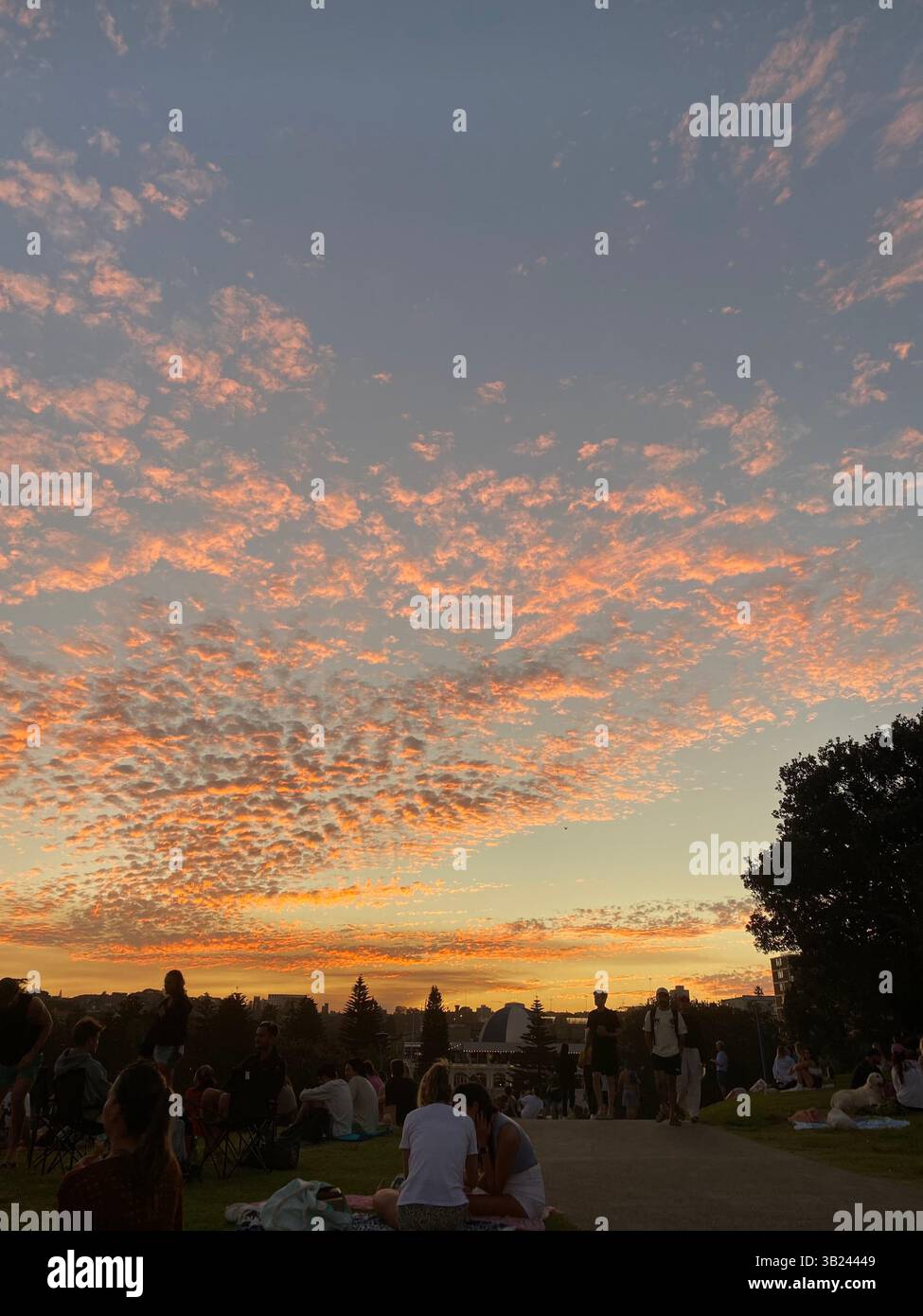 Sonnenuntergang-Liebhaber - Smartphone-aufgenommenes Stockfoto