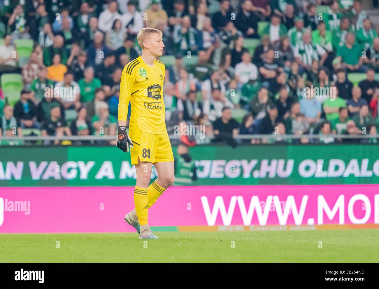 Budapest, Ungarn – 6. Mai 2023. Kisvarda Torhüter Otto Hindrich während des ungarischen Ligaspiels Ferencvaros gegen Kisvarda (3:0). Stockfoto