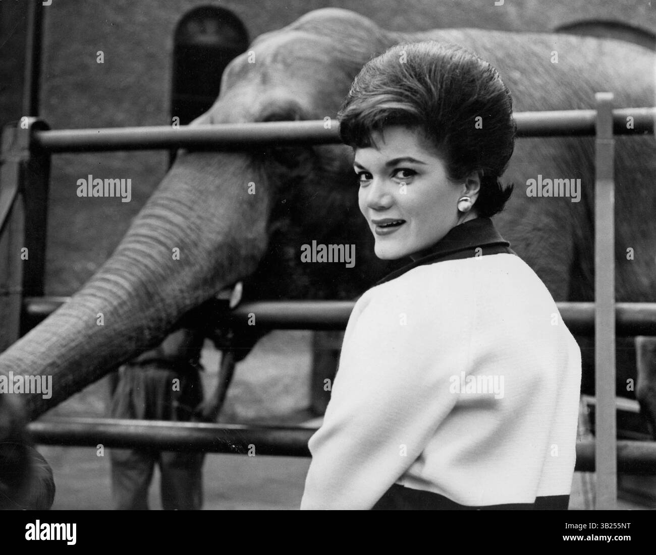 JANUAR 2011 - CONNIE FRANCIS IM ZOO VON MAILAND IN ITALIEN 1962.# 2805. BEREITGESTELLT VON PHOTOS, INC (Kreditbild: © Globe Photos/ZUMAPRESS.com) Stockfoto