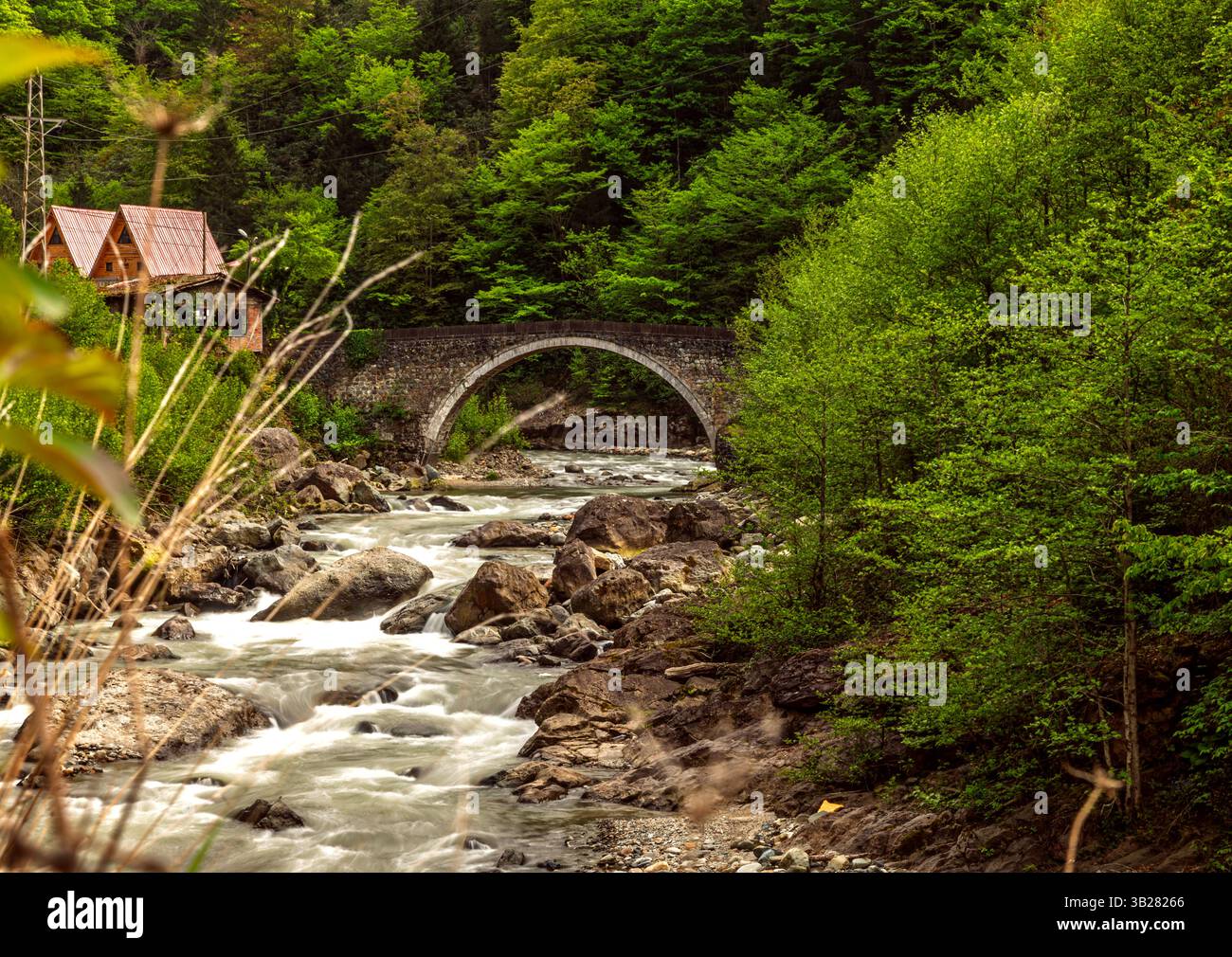 Blick auf den Wald von Hemsin und die Brücke Stockfoto