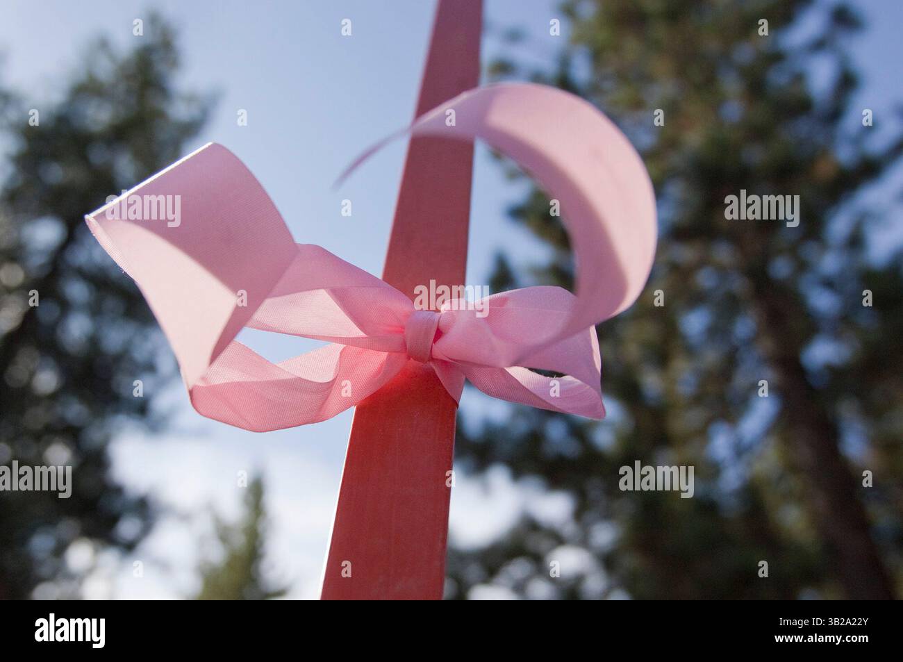 48492 SOUTH LAKE TAHOE, Kalifornien... Ein willkommenes Heimband schmückt die A-Straßen in South Lake Tahoe während einer Parade zu Ehren der sicheren Rückkehr von Jaycee Lee Dugard, 6. September 2009. In South Lake Tahoe ist sie vor 18 Jahren verschwunden, während sie auf einen Schulbus wartete. Die Parade ist die Umkehrung der Strecke, die am 10. Jahrestag des Verschwindens Dugards zurückgelegt wurde. Die Teilnehmer trugen rosa, weil das Dugards Lieblingsfarbe war. Ihre Klassenkameraden an der Meyers Elementary School starteten zur Zeit ihrer Entführung eine rosa Bandkampagne, um ihre Hoffnung auf ihre sichere Rückkehr zu zeigen... Robert Durell Stockfoto