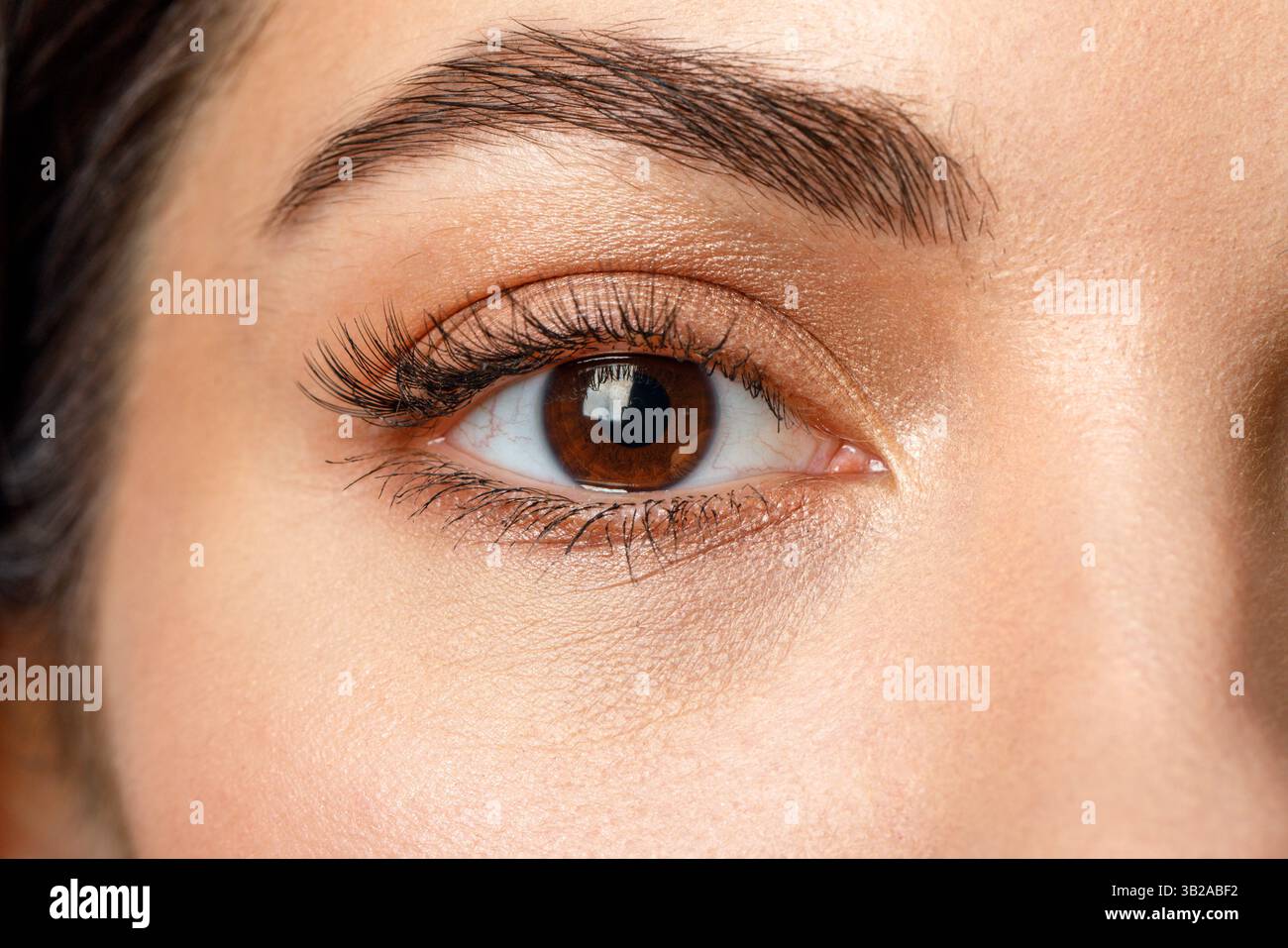 Braunes Auge einer Frau aus der Nähe. Stockfoto