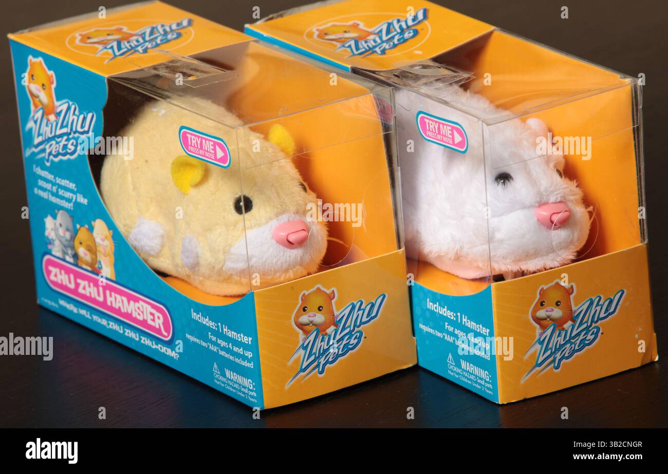 30. November 2009 - Laguna Niguel, Kalifornien, USA - Zhu Zhu Haustiere sind ein muss in der Weihnachtszeit 2009. Einzelhandelsgeschäfte im ganzen Land verkaufen das flauschige Hamsterspielzeug, das im Badezimmer Zahnputzgeräusche und Schlafgeräusche im Schlafzimmer erzeugt. Sie quietschen auch, wenn sie auf die Nase gestreichelt werden. Die Spielzeuge werden von Cepia LLC hergestellt, einem kleinen Unternehmen mit Sitz in der Nähe von St. Louis. Cepia hat Schwierigkeiten, mit der Nachfrage nach den Zhu Zhu Pets Schritt zu halten, die mit früheren Verrückungen für Tickle Me Elmo und Cabbage Patch Kids vergleichbar ist. Eine Bewertung von Google Trends zeigt das unglaubliche Stockfoto