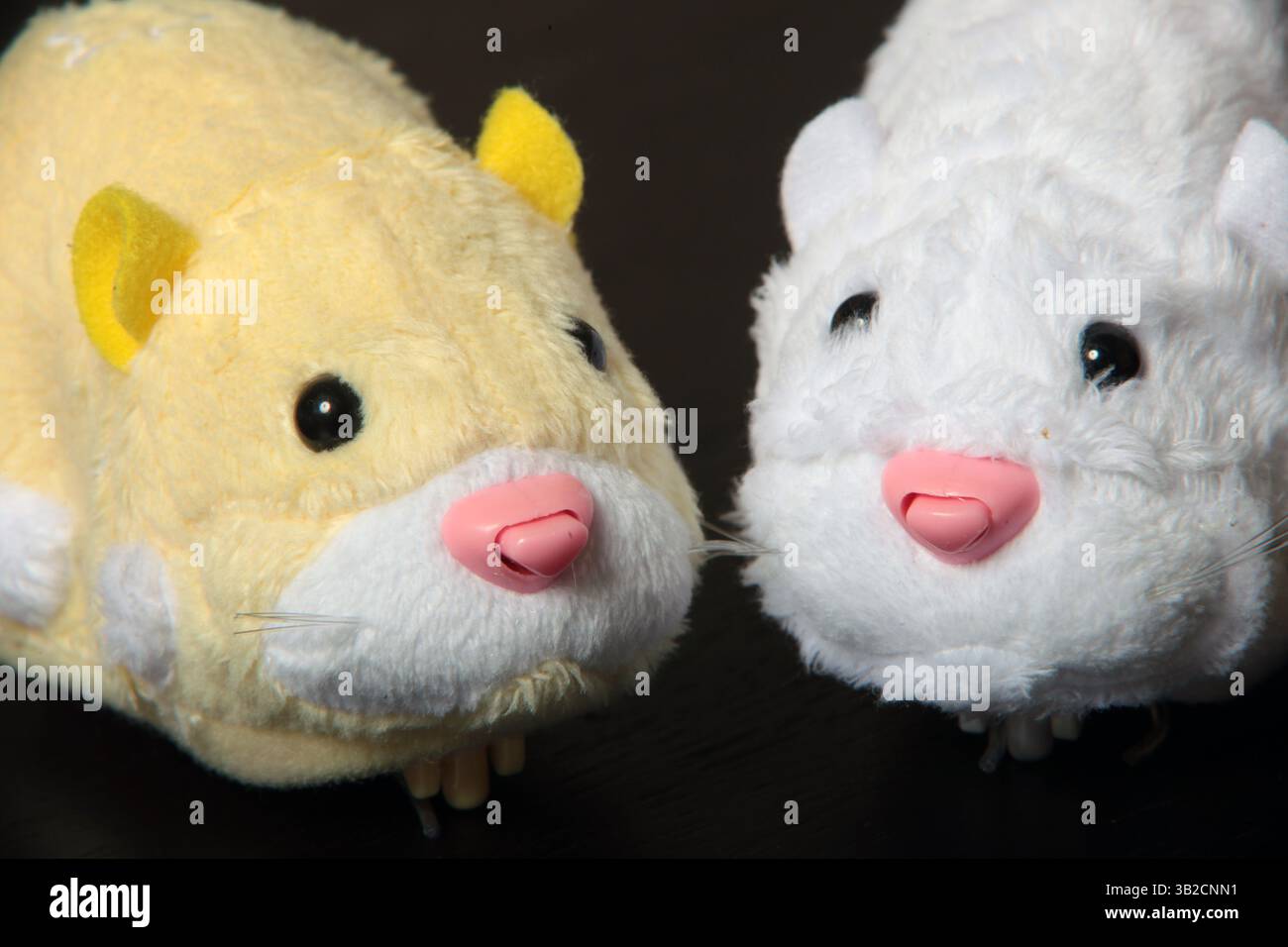 30. November 2009 - Laguna Niguel, Kalifornien, USA - Zhu Zhu Haustiere sind ein muss in der Weihnachtszeit 2009. Einzelhandelsgeschäfte im ganzen Land verkaufen das flauschige Hamsterspielzeug, das im Badezimmer Zahnputzgeräusche und Schlafgeräusche im Schlafzimmer erzeugt. Sie quietschen auch, wenn sie auf die Nase gestreichelt werden. Die Spielzeuge werden von Cepia LLC hergestellt, einem kleinen Unternehmen mit Sitz in der Nähe von St. Louis. Cepia hat Schwierigkeiten, mit der Nachfrage nach den Zhu Zhu Pets Schritt zu halten, die mit früheren Verrückungen für Tickle Me Elmo und Cabbage Patch Kids vergleichbar ist. Eine Bewertung von Google Trends zeigt das unglaubliche Stockfoto