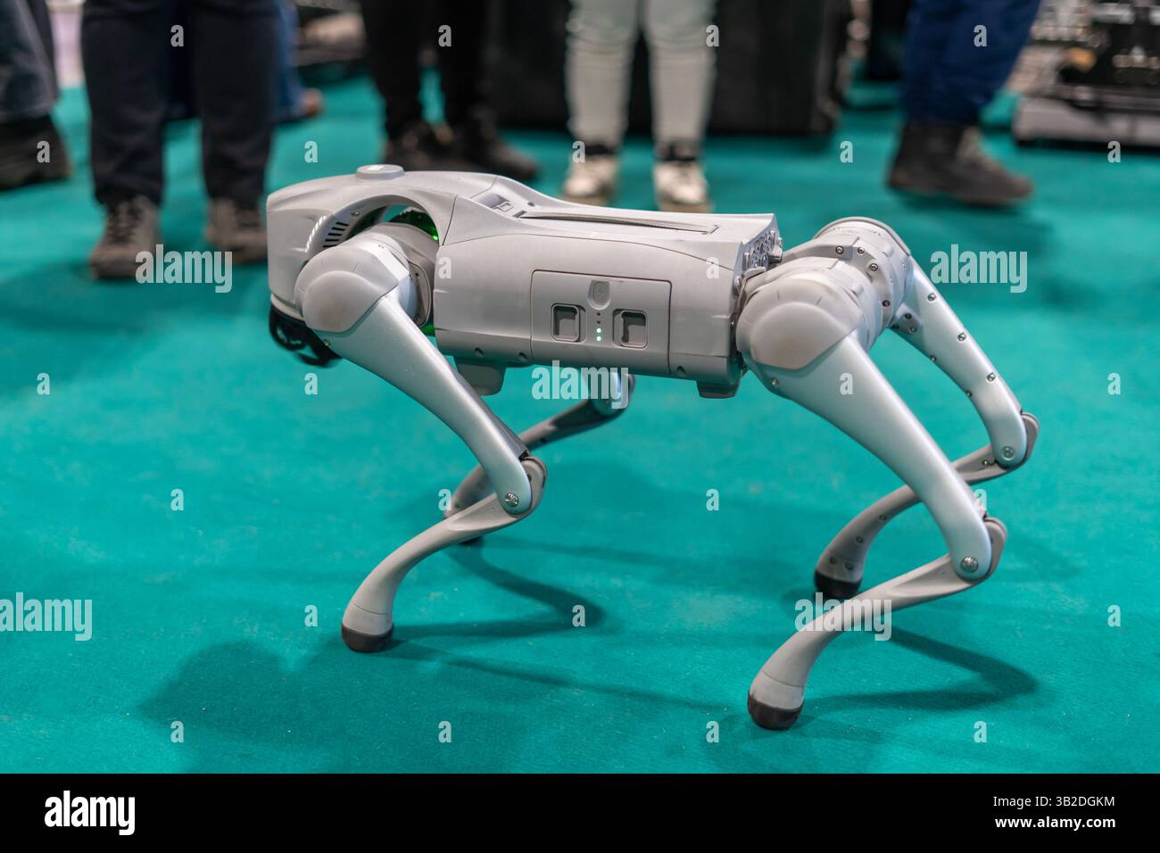 Grauer Militär-Roboterhund bei einer Demonstration mit grünem Hintergrund Stockfoto