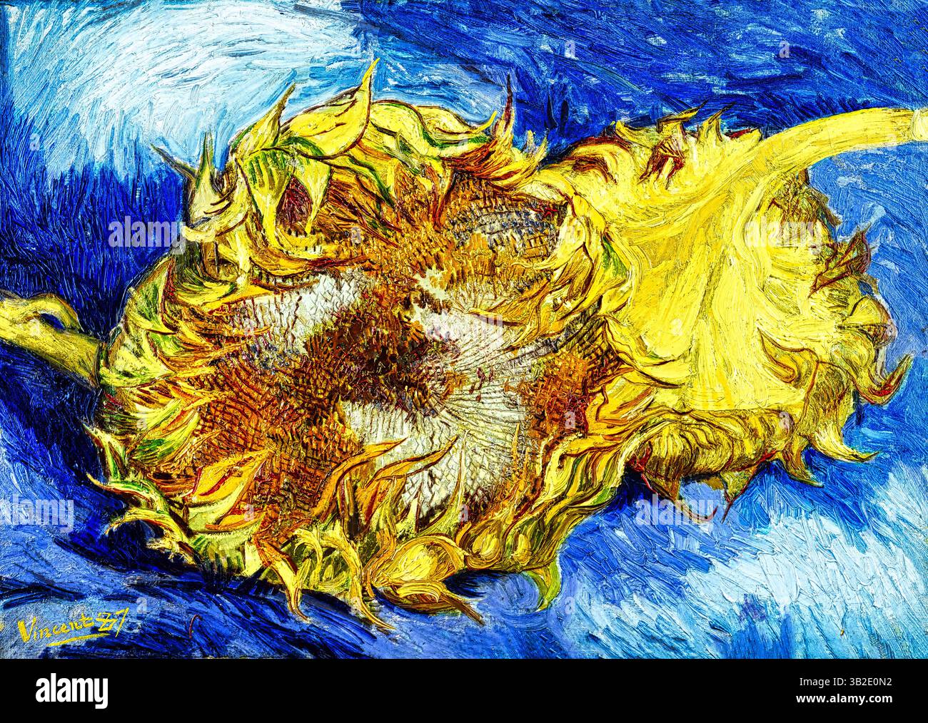 Gemalt 1887 in Paris. Van Goghs leuchtende Sonnenblumenstudie mit dicken Pinselarbeiten. 300 DPI digitale Restaurierung in Museumsqualität. Public Domain - pe Stockfoto