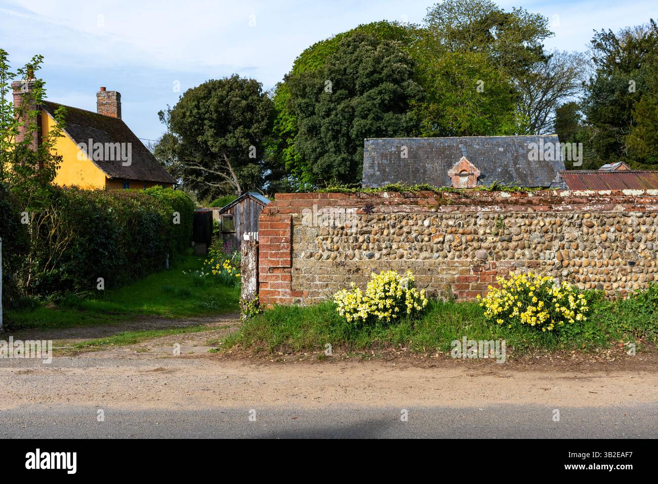 Wandblumen Bawdsey Suffolk UK Stockfoto