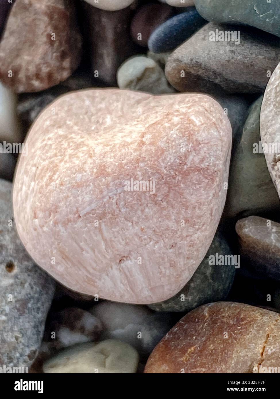 Nahaufnahme eines rosafarbenen, glatten Kiesels zwischen mehrfarbigen Steinen, natürliche Textur von oben mit weichen Pastelltönen und abgerundeten Felsen Stockfoto