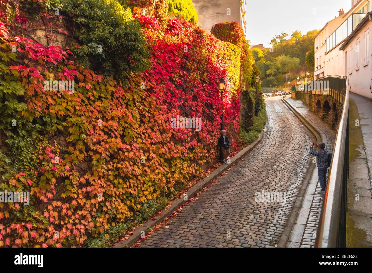 Lebhafter Laubweg – Herbstfarben Beleuchten Den Urban Walk Stockfoto