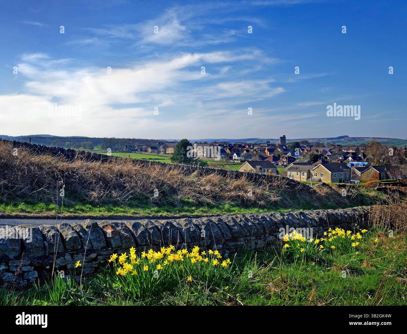 Großbritannien, South Yorkshire, Sheffield, Lodge Moor ab Spider Park. Stockfoto