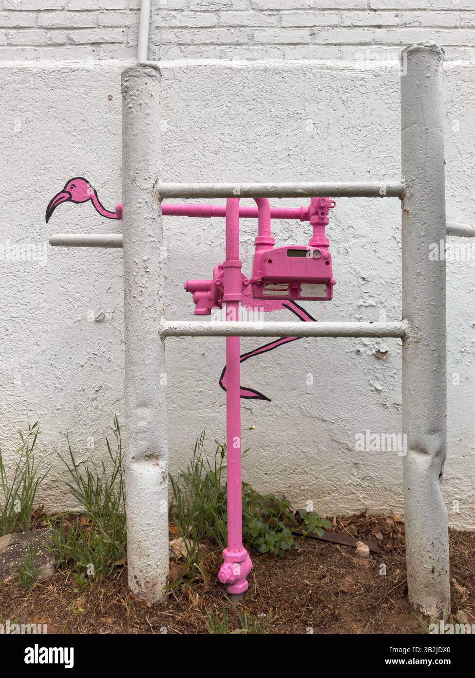 Wand- und Gaszähler, die wie ein rosafarbener Flamingo lackiert sind, angewandte Kunst, Smithville, Texas, USA. - Smartphone-aufgenommenes Stockfoto