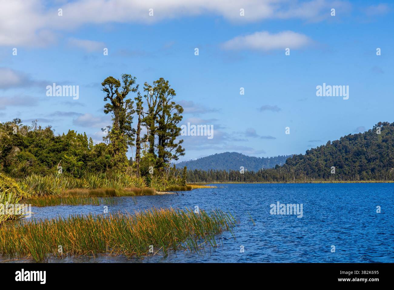 Wunderschöner Lake Wahapo, Westküste, Südinsel, Neuseeland Stockfoto