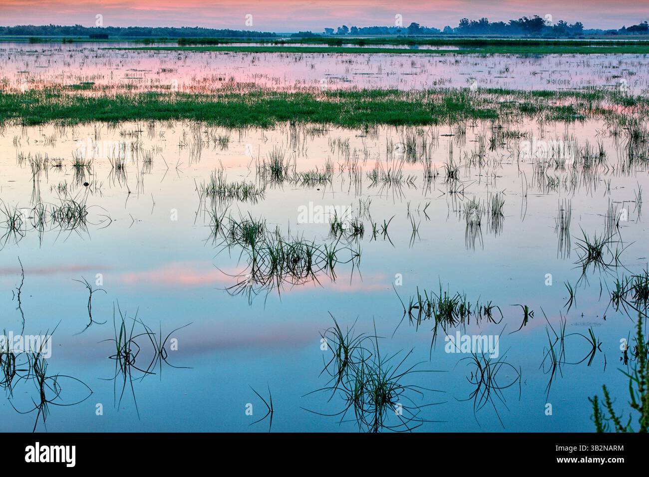 Donana-Nationalpark Stockfoto