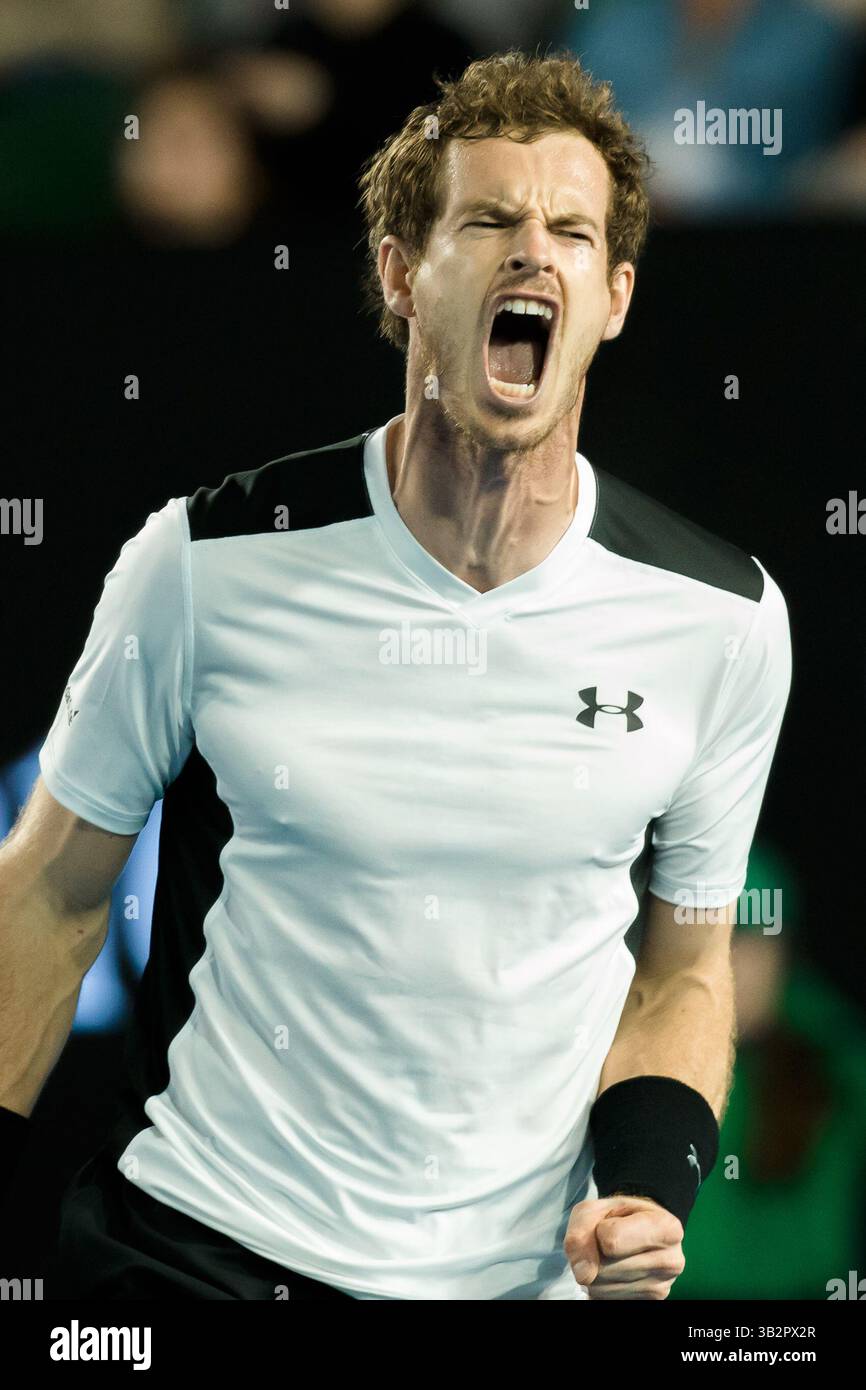 29. Januar 2016: Melbourne, Australien - ANDY MURRAY aus Großbritannien im Halbfinalspiel gegen M. Raonic aus Kanada am 12. Tag des Australian Open Grand Slam Tennis Turniers 2016 im Melbourne Park in Australien. Murray gewann 4:6, 7:5, 6:7, 6:4, 6:2. (Bild: © Sydney Low/CSM via ZUMA Wire) Stockfoto