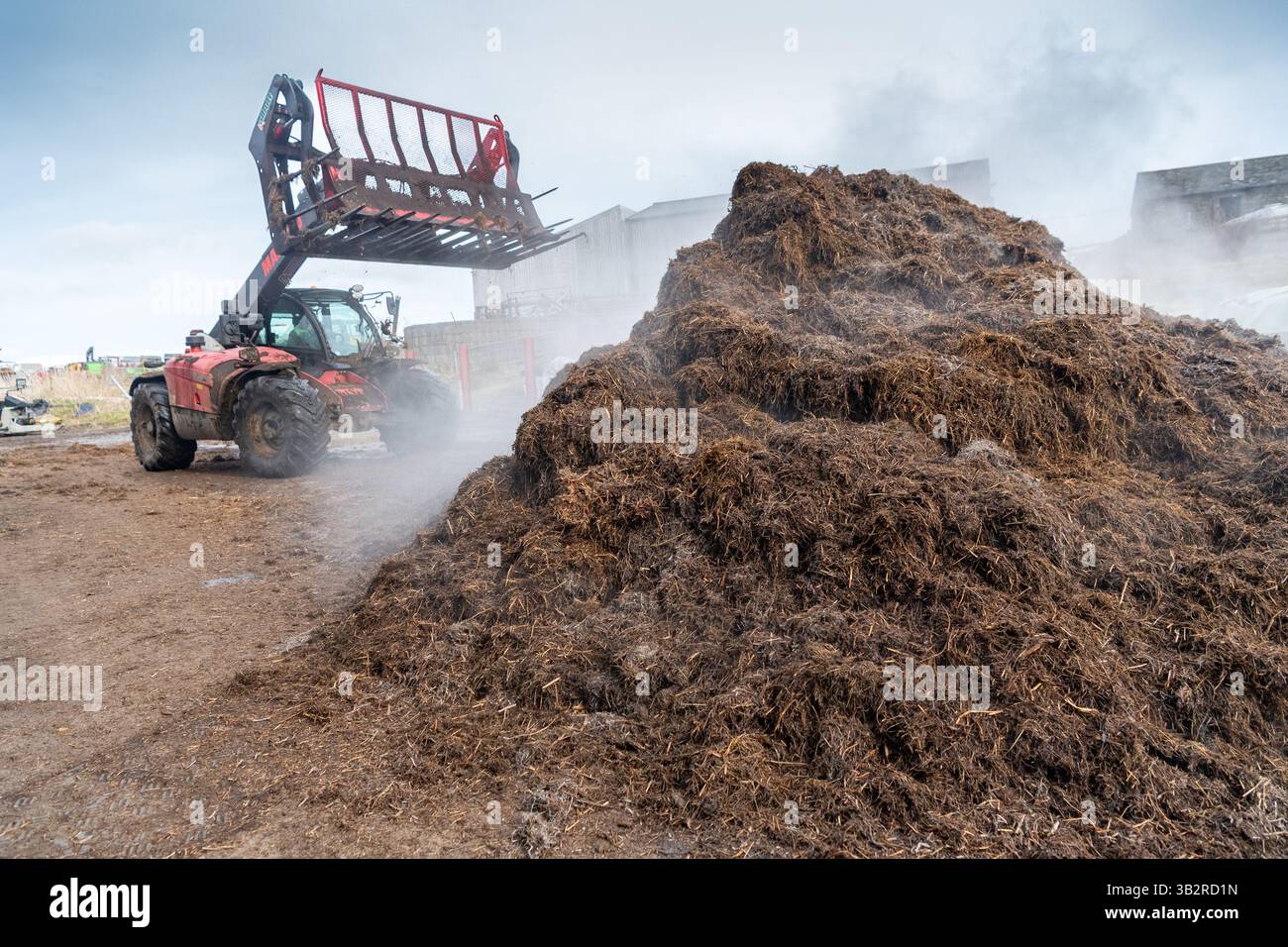 Eine Kompostmischung mit einem Lader auf einem Bauernhof, der sich zur Herstellung von torffreiem Kompost diversifiziert hat. Cumbria, Großbritannien. Stockfoto
