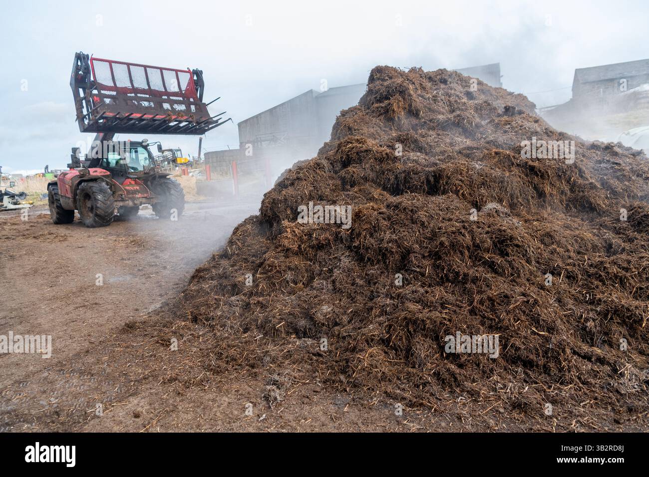 Eine Kompostmischung mit einem Lader auf einem Bauernhof, der sich zur Herstellung von torffreiem Kompost diversifiziert hat. Cumbria, Großbritannien. Stockfoto