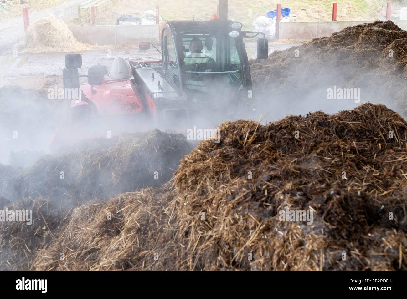 Eine Kompostmischung mit einem Lader auf einem Bauernhof, der sich zur Herstellung von torffreiem Kompost diversifiziert hat. Cumbria, Großbritannien. Stockfoto