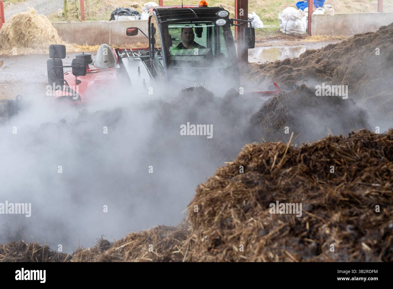 Eine Kompostmischung mit einem Lader auf einem Bauernhof, der sich zur Herstellung von torffreiem Kompost diversifiziert hat. Cumbria, Großbritannien. Stockfoto