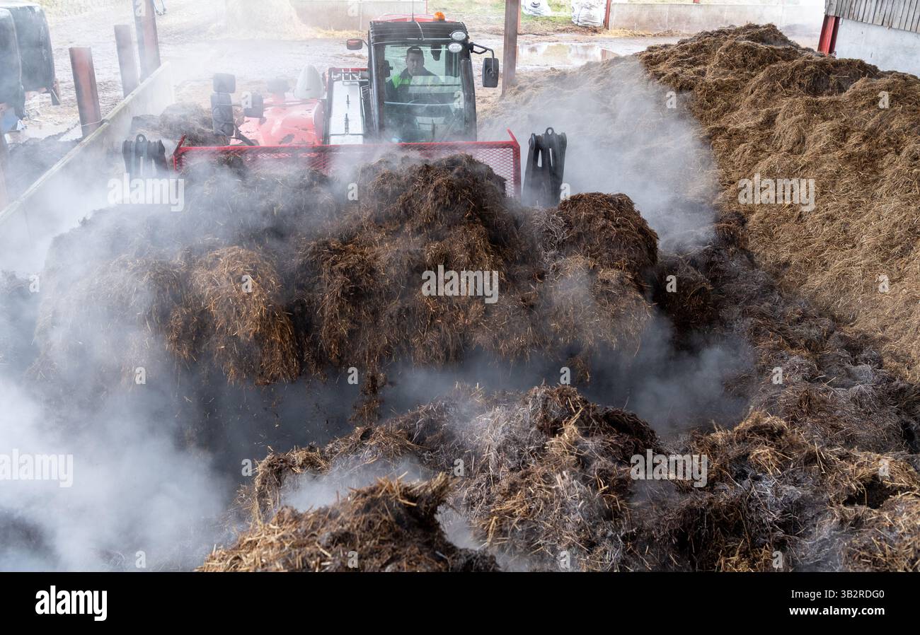 Eine Kompostmischung mit einem Lader auf einem Bauernhof, der sich zur Herstellung von torffreiem Kompost diversifiziert hat. Cumbria, Großbritannien. Stockfoto