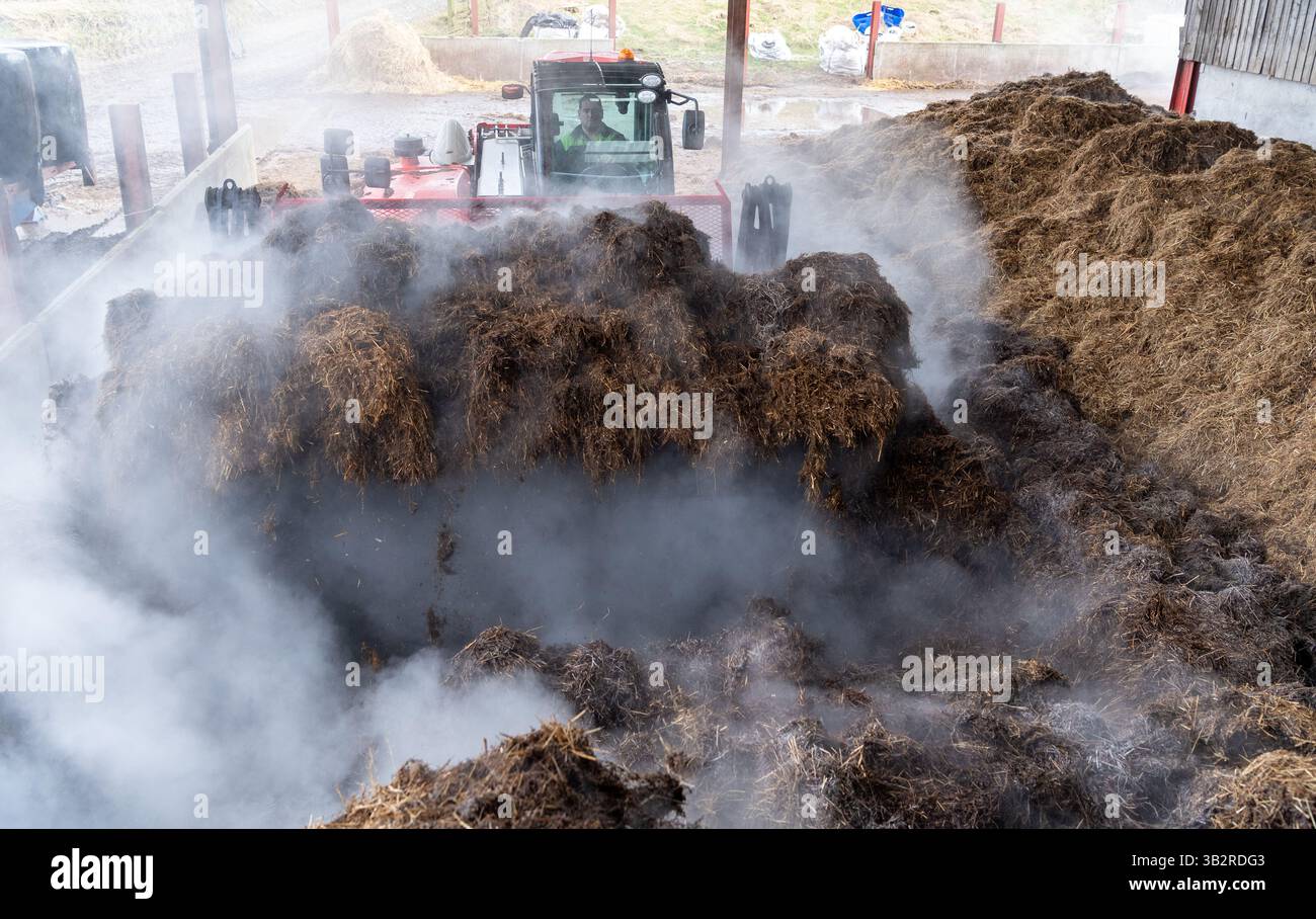 Eine Kompostmischung mit einem Lader auf einem Bauernhof, der sich zur Herstellung von torffreiem Kompost diversifiziert hat. Cumbria, Großbritannien. Stockfoto