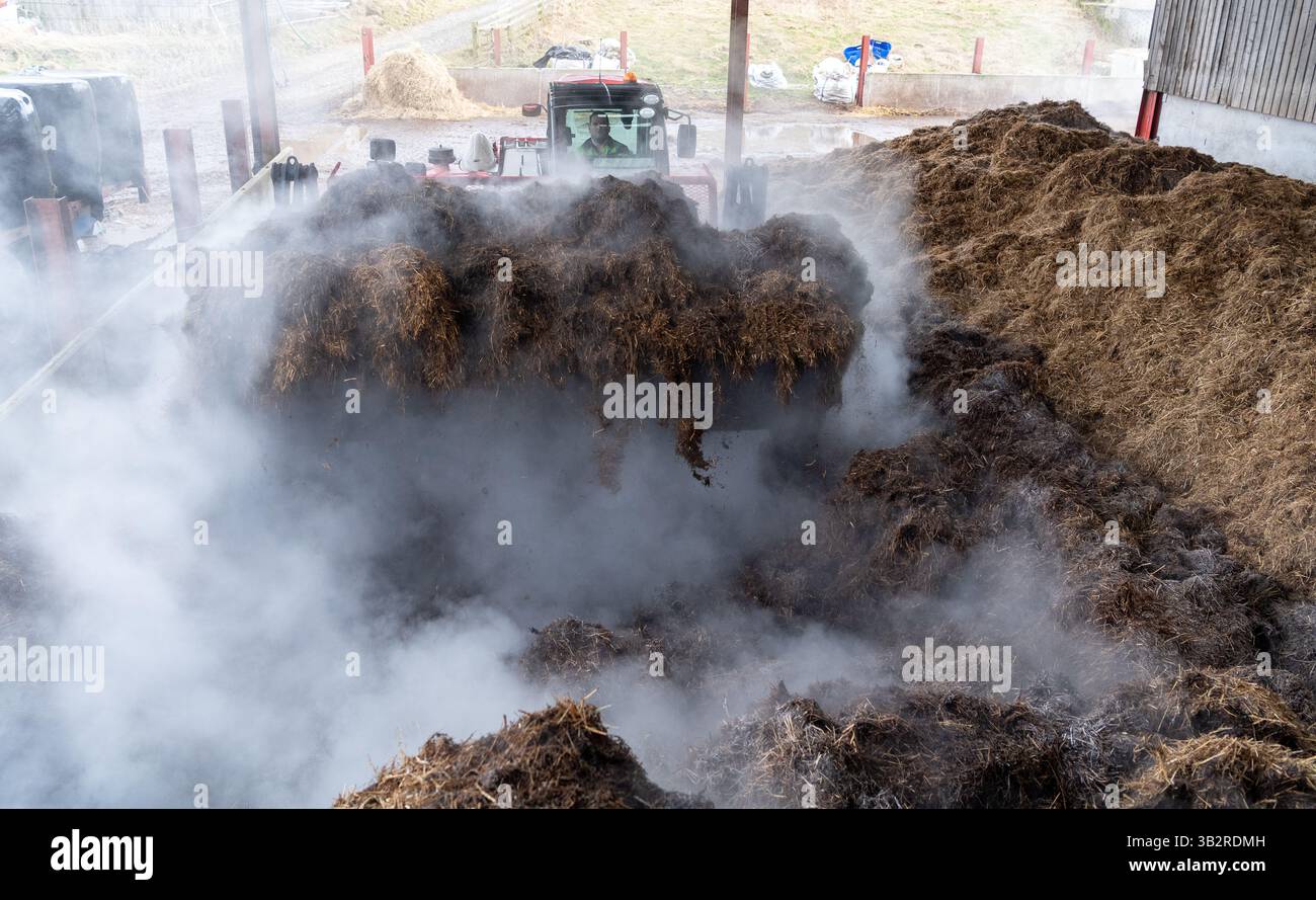 Eine Kompostmischung mit einem Lader auf einem Bauernhof, der sich zur Herstellung von torffreiem Kompost diversifiziert hat. Cumbria, Großbritannien. Stockfoto