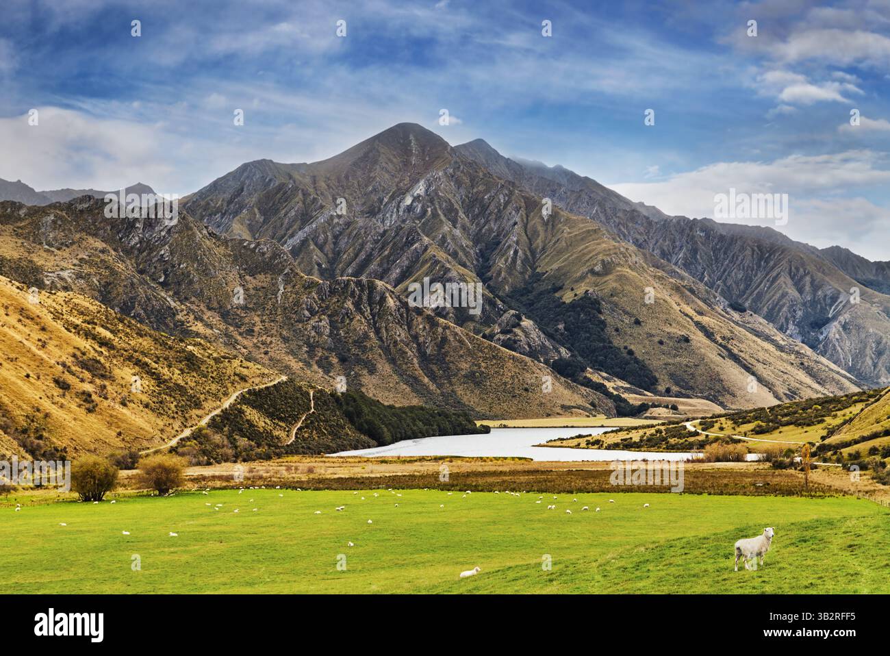 Berglandschaft mit See Kirkpatrick am Fuße der wunderschönen Berge und weidenden Schafen auf einem frischen grünen Gras in der Nähe von Queenstown in Neuseeland Stockfoto