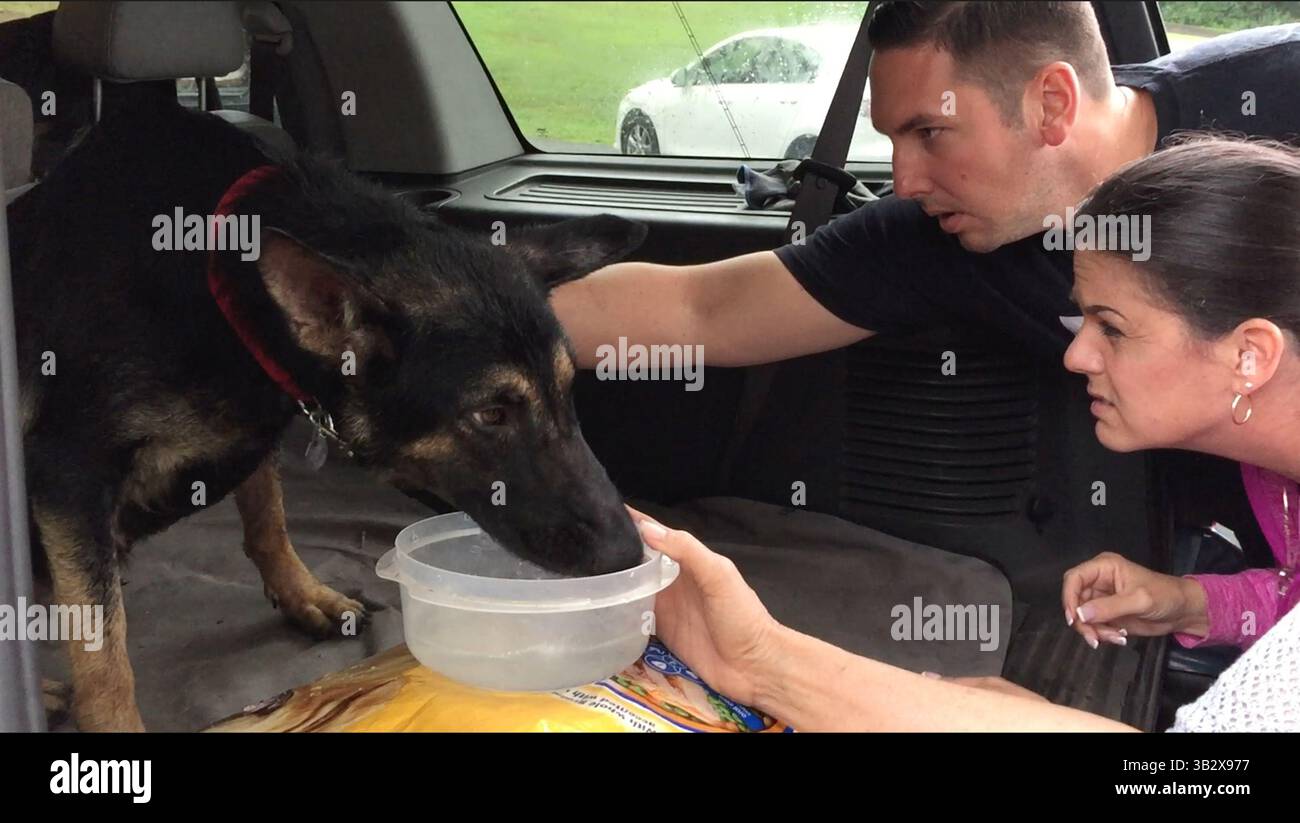 19. Oktober 2015 – USA: Carol Skaziak und SEPTA Transit Officer Jason Walters, Mitbegründer des Throw Away Dogs Project, Evaluate Hope, ein Hund, der später in Rousey umbenannt wurde, bei der Char-will German Shepherd Rescue in Schuylkill County. (Bild: © Robert Moran/TNS via ZUMA Wire) Stockfoto