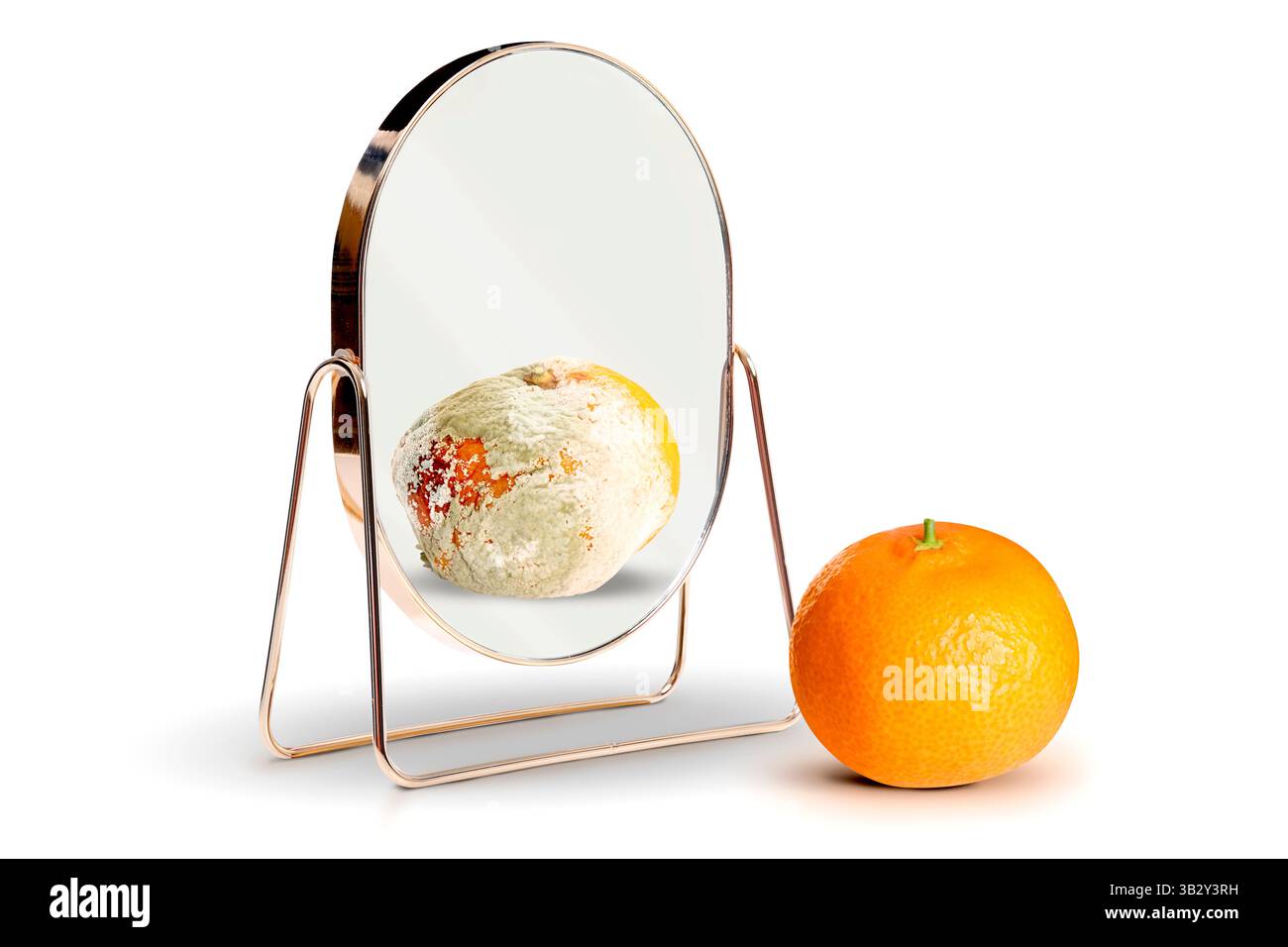 Frische Mandarine reflektiert im Spiegel als verrotteter, weißer Hintergrund. Im Gegenteil, Kontrast, Differenz Stockfoto