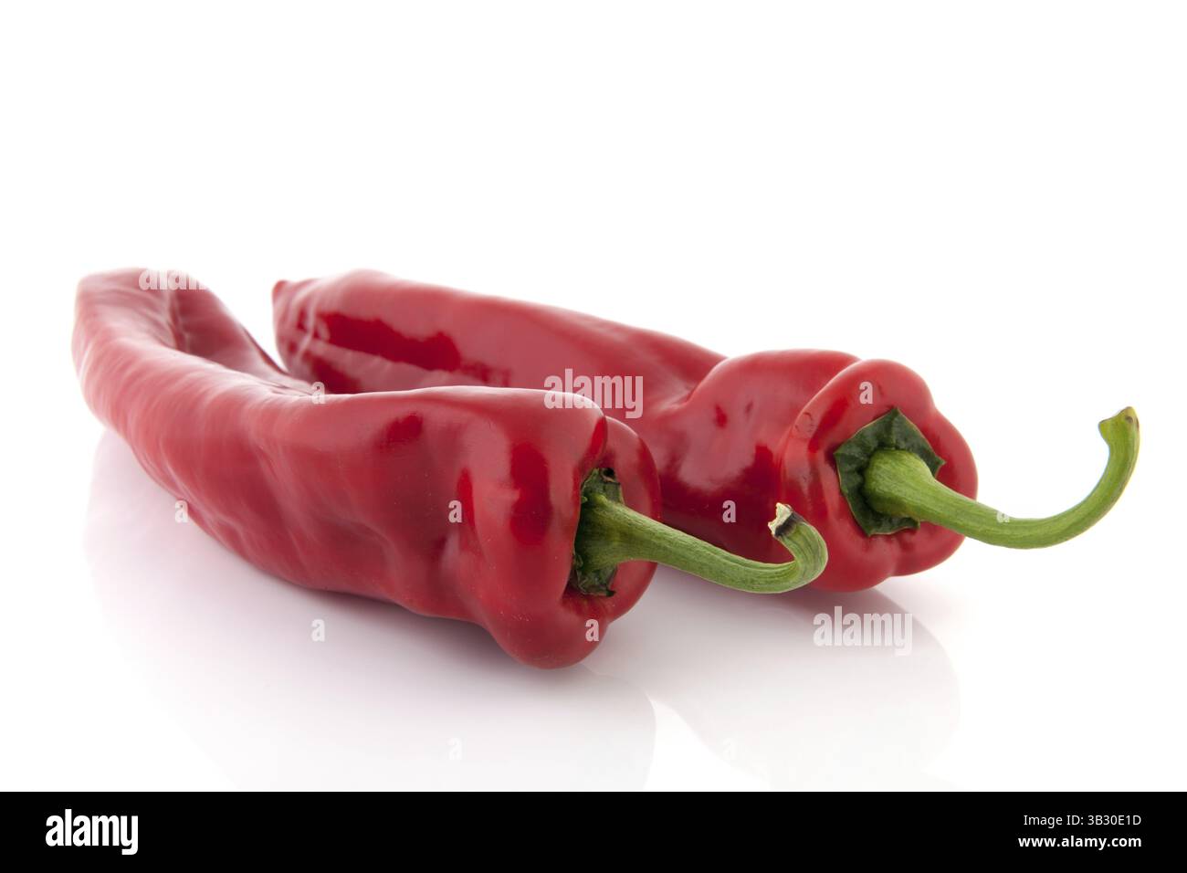 Zwei rote Glocke wies Paprika auf weißem Hintergrund Stockfoto