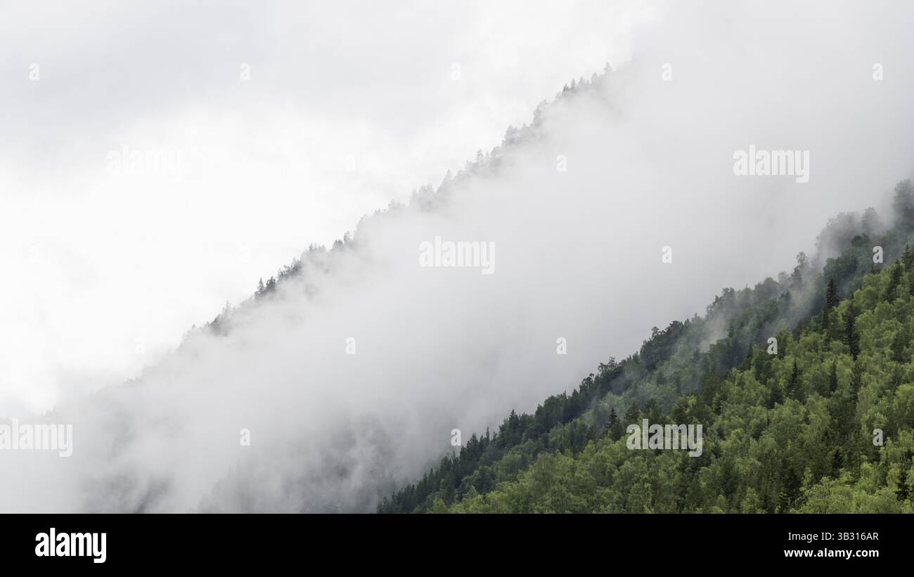Bewölkter, bewaldeter Bergkamm, bei Kvam, oberer Gudbrandsdalen, Norwegen, Europa Stockfoto