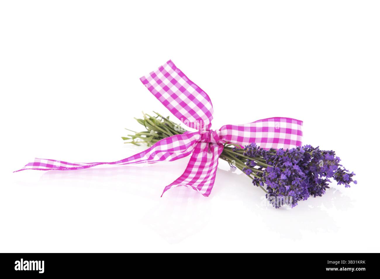 Bouquet Lavendel mit kariertem Band isoliert auf weißem Hintergrund Stockfoto