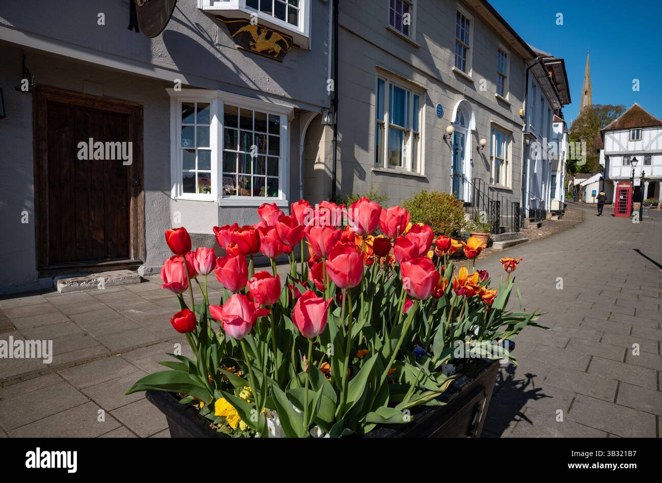 Thaxted Essex UK April 2025 Town Street mit Blick auf die Guildhall aus dem 14. Jahrhundert mit Frühlingstulpen Stockfoto