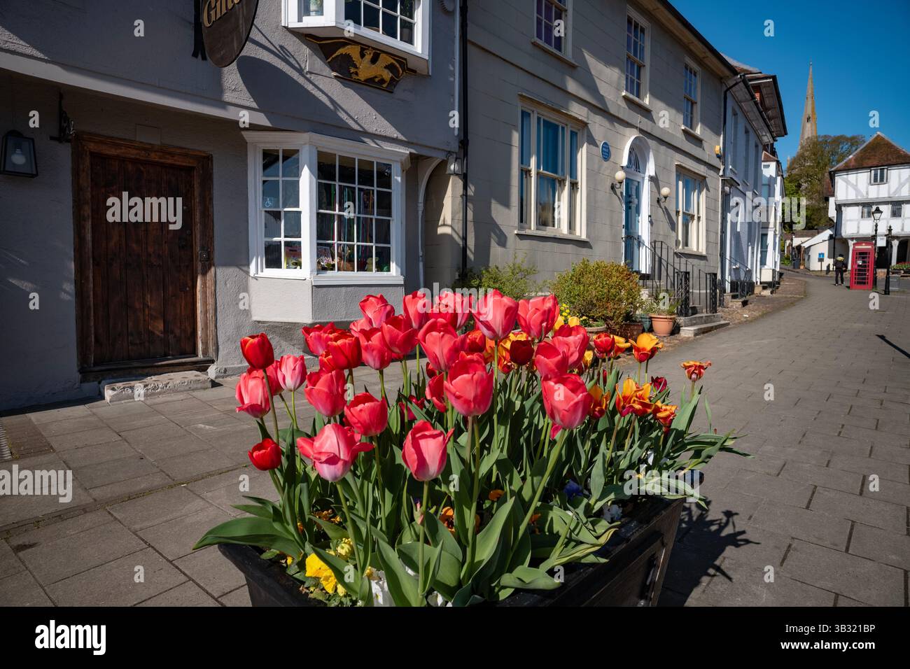 Thaxted Essex UK April 2025 Town Street mit Blick auf die Guildhall aus dem 14. Jahrhundert mit Frühlingstulpen Stockfoto