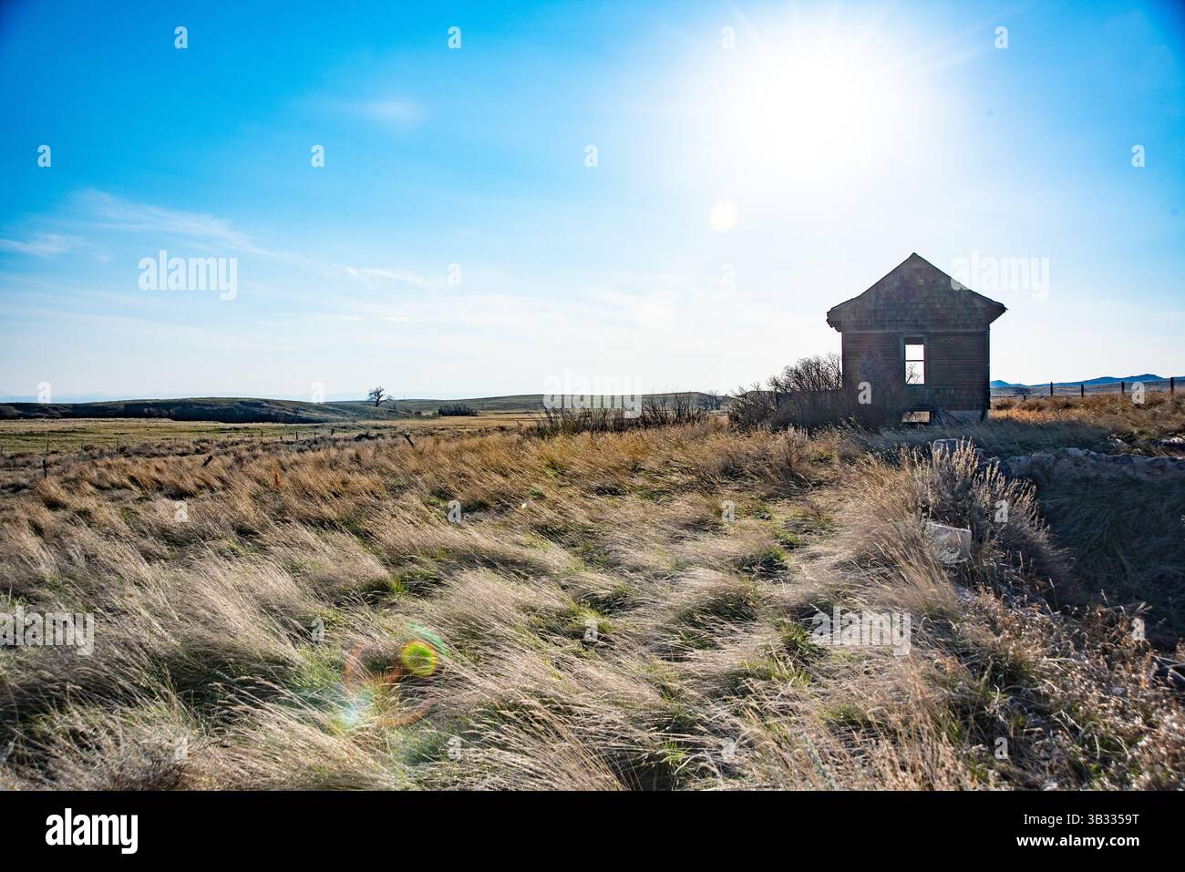 Ein einsames verlassenes Gebäude steht auf einem weiten offenen Feld, umgeben von hohen Gräsern im ländlichen Westen Wyoming. Die helle Sonne scheint über uns. Stockfoto