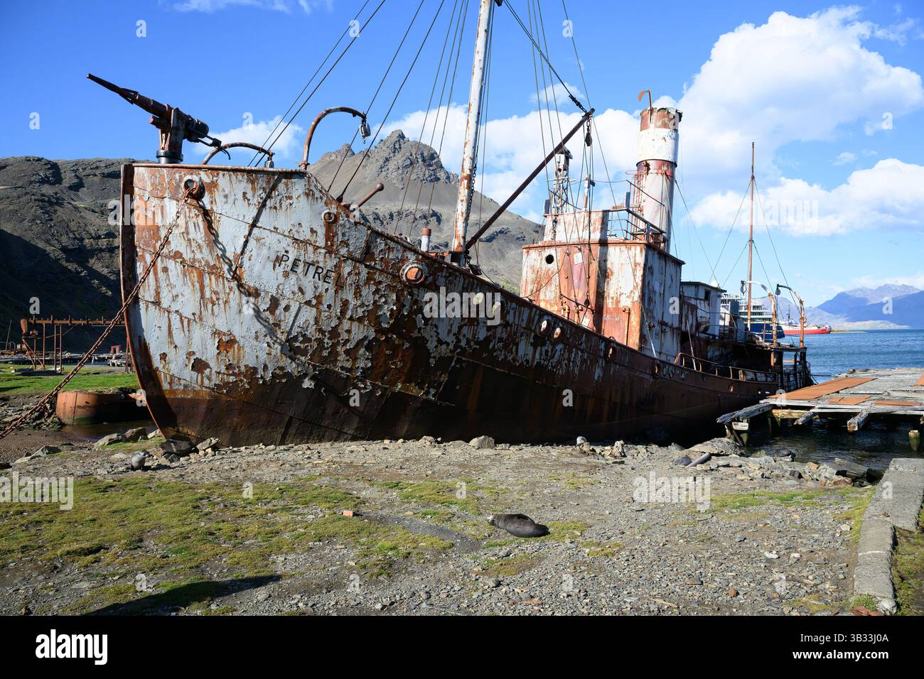 Das Wrack des Petrel, ein Walfangschiff, das 1928 in Norwegen gebaut wurde, lag in Grytviken, Südgeorgien, mit dem Lindblad National Geograp Stockfoto