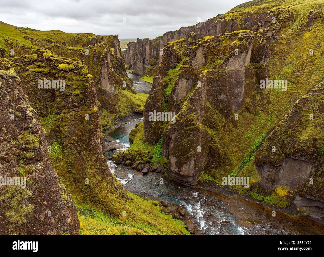 Fjaðrárgljúfur Canyon bedeckt mit Moos, Süd-Island Stockfoto