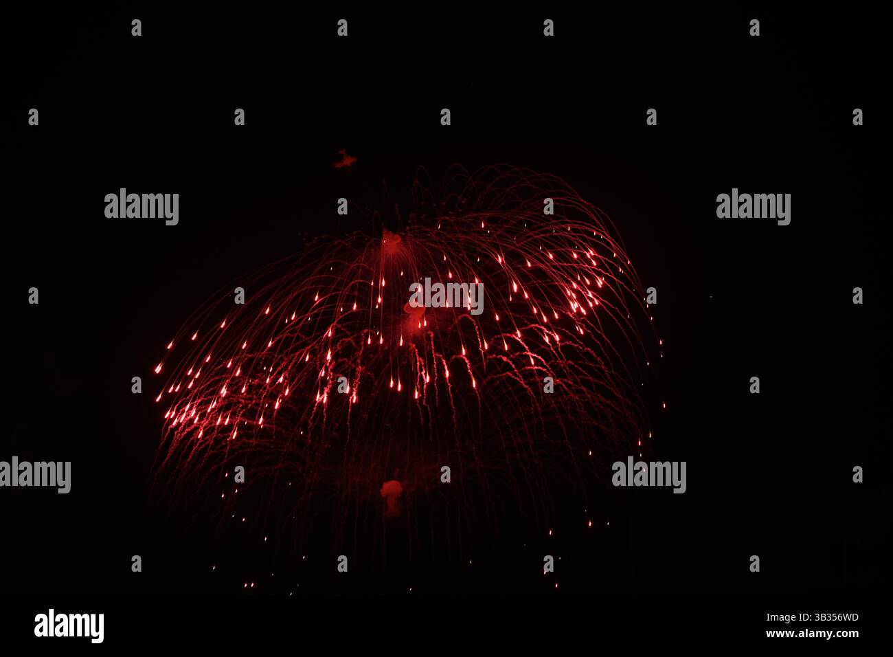 Ein Feuerwerk. Luftfarbenfeuerwerk am Nachthimmel. Stockfoto