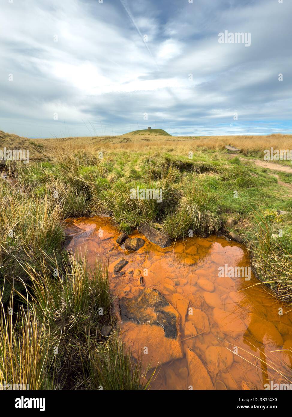 Rivington Pike aus dem Moor Stockfoto