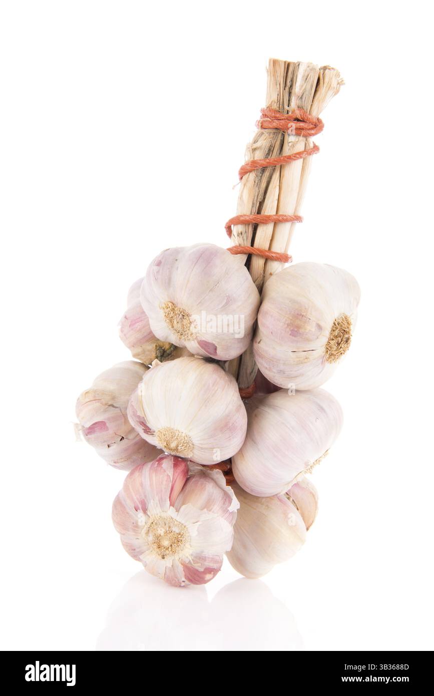 Frischer Knoblauch isoliert auf weißem Hintergrund Stockfoto