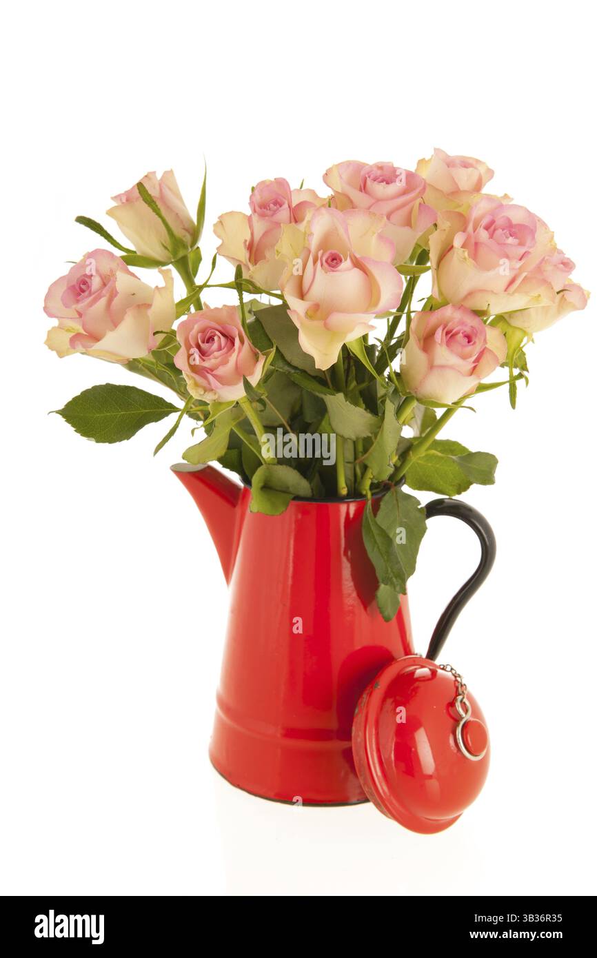 Strauß rosa Rosen in rote Vase isoliert auf weißem Hintergrund Stockfoto