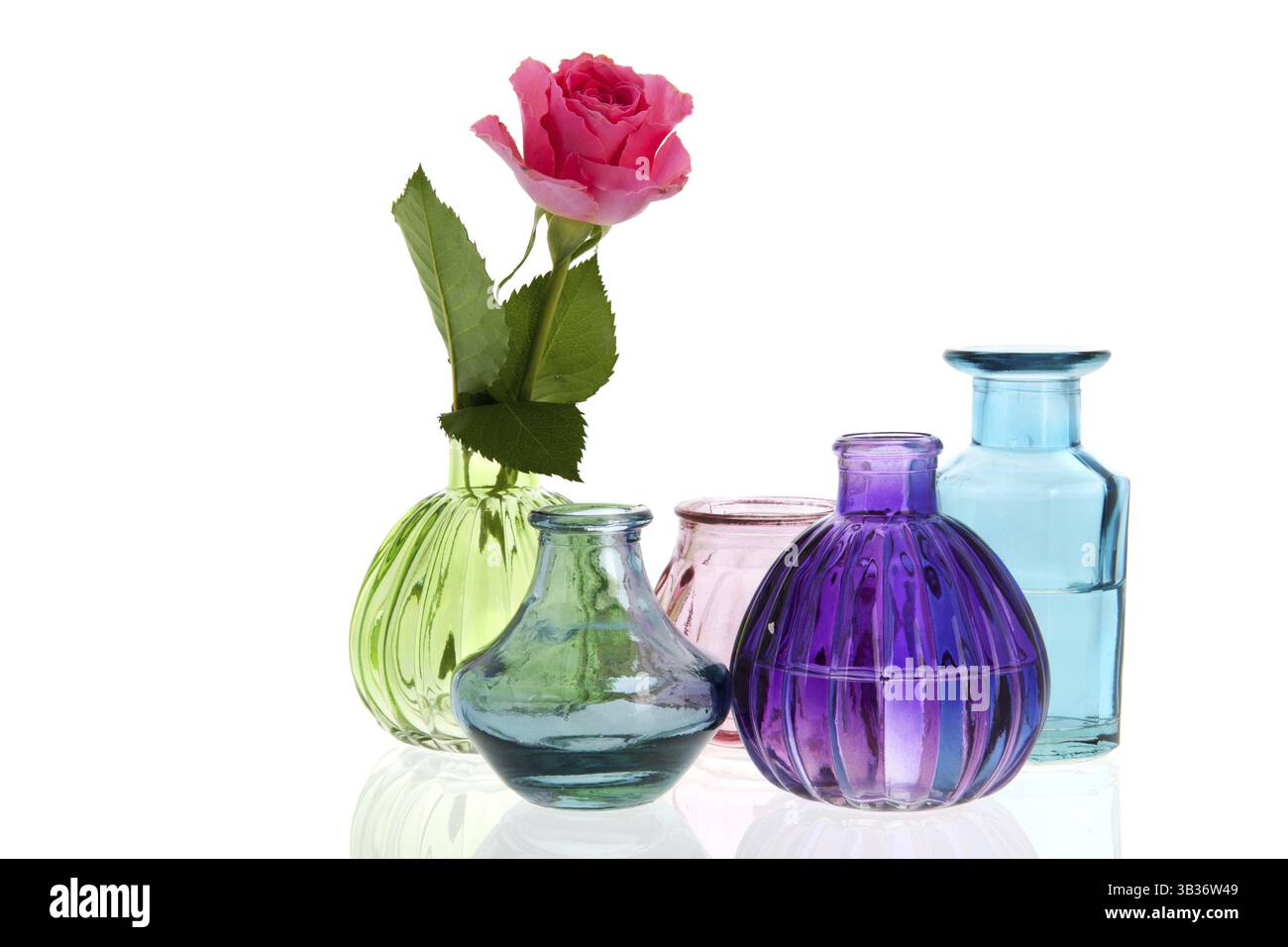 Glas Vasen rose Blume isoliert auf weißem Hintergrund Stockfoto