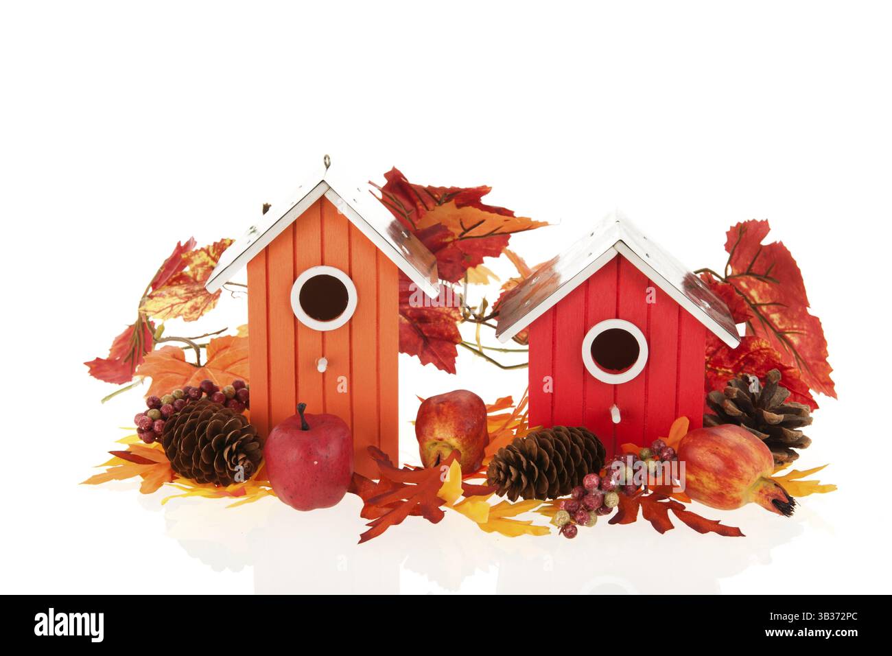 Nistkästen mit Blättern und Früchten Stockfoto
