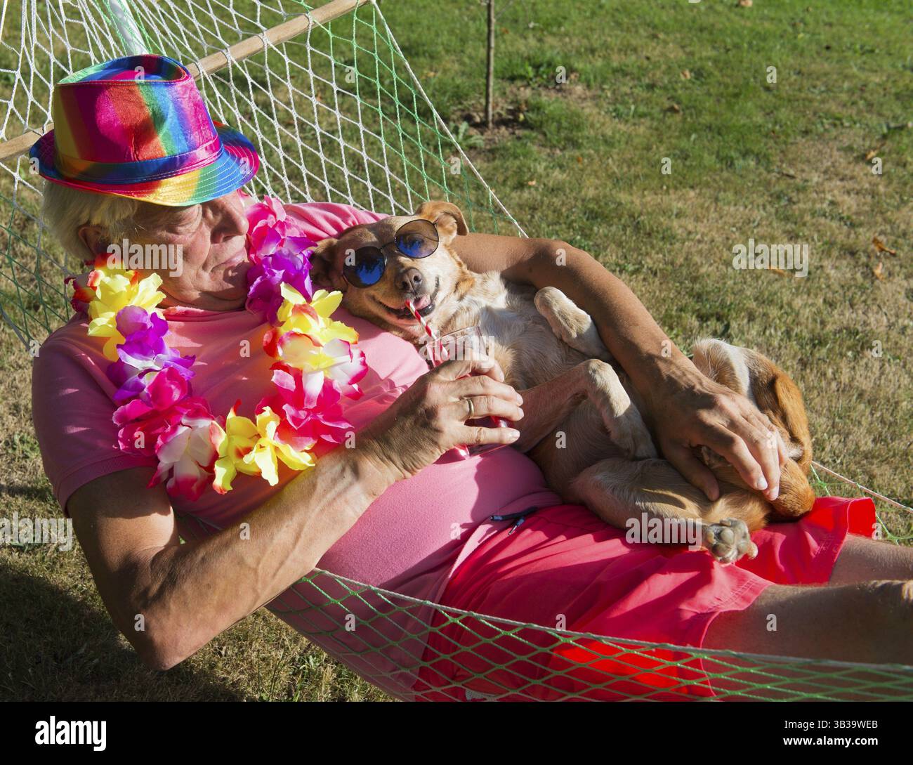 Mann mit Hund in Hängematte Stockfoto