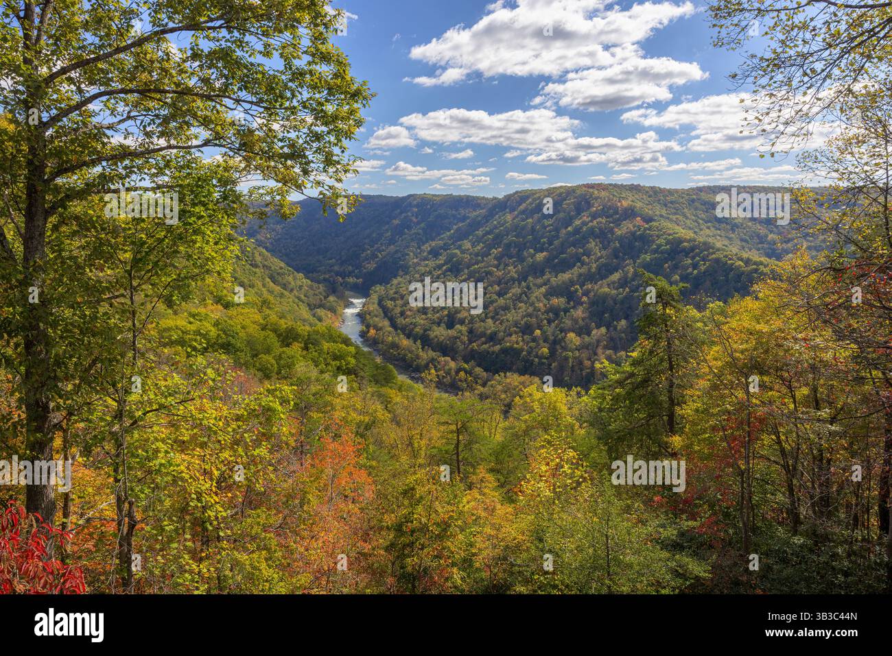 Blick vom Canyon Rim Visitor Center im Herbst, New River Gorge National Park and Preserve, West Virginia Stockfoto