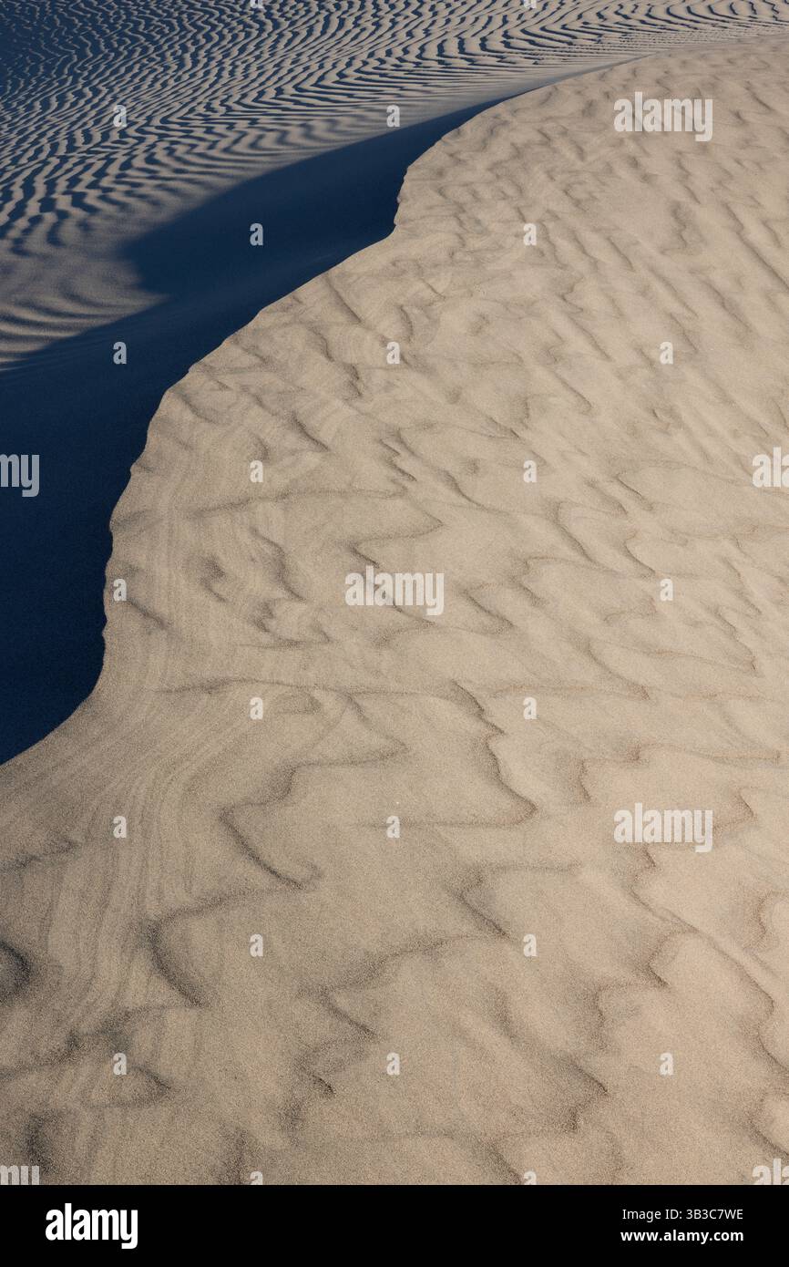 Vom Wind durchzogene Sandmuster mit Morgenlicht, Mesquite Flat Sand Dunes, Death Valley National Park, Kalifornien Stockfoto