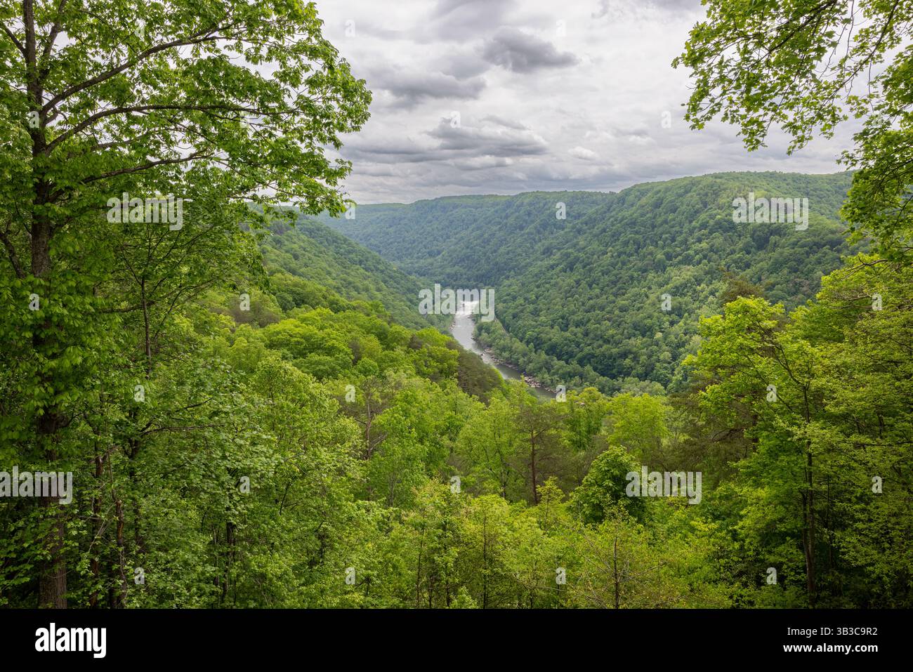 Blick auf das Canyon Rim Visitor Center, New River Gorge National Park and Preserve, West Virginia Stockfoto