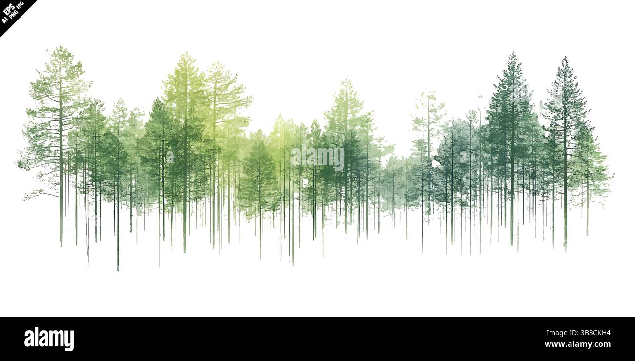 Einfache Linienzeichnung von Kiefern mit grünen und gelben Aquarell-Vektorgrafiken Stock Vektor