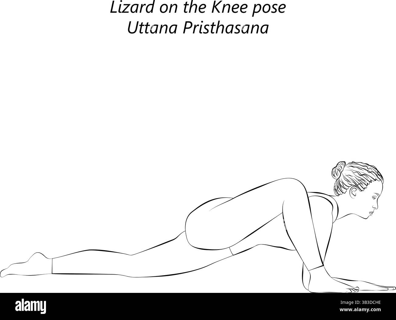 Skizze einer jungen Frau, die Uttana Pristhasana Yoga-Pose praktiziert. Eidechse auf der Knie-Yoga-Pose. Mittlere Schwierigkeit. Isolierte Vektordarstellung. Stock Vektor